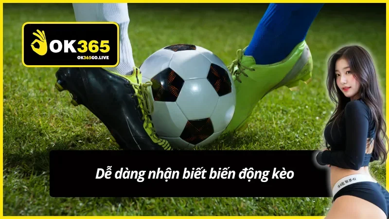 Dễ dàng nắm bắt biến động kèo từ tỷ lệ