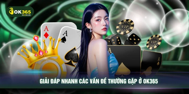 Giải đáp nhanh các vấn đề thường gặp ở OK365